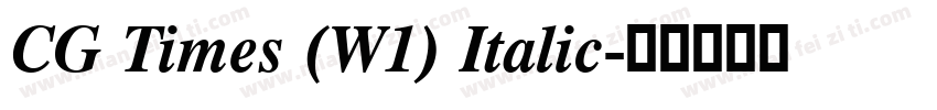 CG Times (W1) Italic字体转换